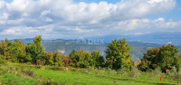 ISTRA, PIĆAN imanje s prekrasnim pogledom i ruševnom kamenom kućom