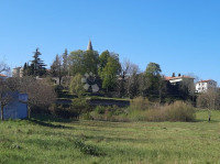 Istra, poljoprivredno zemljište Žminj