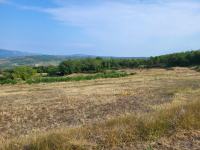 Poljoprivredno zemljište, Pićan
