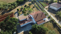 KRNICA - Imanje sa kućom i 2000m2 zemljišta