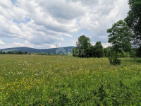 LIKA, OGULIN, PLAŠKI- građevinsko i poljoprivredno zemljište 33654 m2,