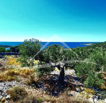 Maslinik s otvorenim, panoramskim pogledom na more!! Kanica