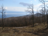 Opatija - Veprinac, 9120 m2 T2