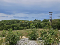 Poljoprivredno okolica Vrsara / Agricultural Land Near Vrsar