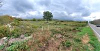 Poljoprivredno zemljište, Bale, Krmed, 11190 m2