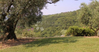 Poljoprivredno zemljište u Gračišću, Istra