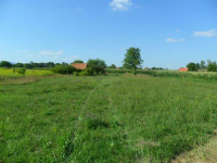 Prodaja, Građevinsko zemljište, Ščitarjevo, 10157 m2