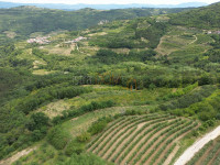 PRODAJA,POLJOPRIVREDNO U GRAĐEVINSKOJ ZONI, KALDIR, 2679 m2