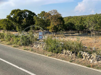 Prostrani teren pravilnog oblika uz cestu za Bol - otok Brač -Gornji H