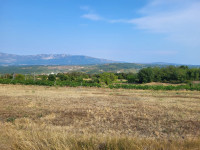 Prostrano građevinsko i poljoprivrednoo zemljište, 28958 m2, Pićan