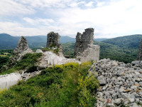 Šuma, pašnjak i livade