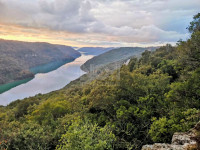 Sveti Lovreč - SNIŽENO ! prodaja poljoprivrednog zemljišta