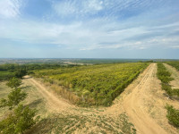 Vinograd, voćnjak, oranica, vikendica/kuća - prodaja