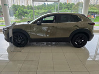 Mazda CX-30 G140 NAGISA