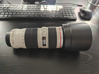 Canon EF 70-200mm f/4 L USM Telephoto Zoom