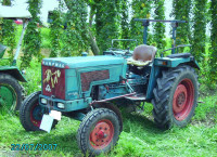 Traktor Hanomag Perfekt 401