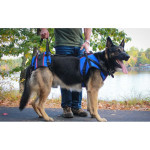 Walkinpets - Rehabilitacijski combo uprtač za pse