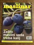 MASLINAR  - Časopis za maslinare i uljare br 73