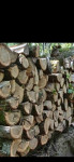 Drva za ogrijev cjepanica vrba Bjelovar