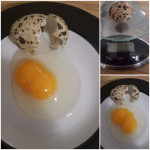 Prepelicja jaja
