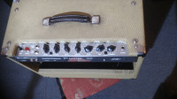 PEAVEY Clasic 30 MOD