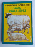 Uzgoj ovaca i koza Kostić  Živković