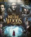 Into the woods, disney kino filmski poster plakat