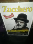 PLAKAT ZUCCHERO