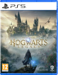 Hogwarts Legacy PS5 (digitalna igra)