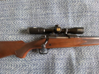 WINCHESTER KARABIN .308 win