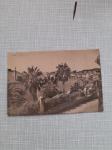 razglednica 1950-tih dubrovnik vila orsula