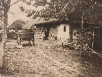 Stara fotografija Vinograd Jeruzovac iznad sela Narta Kasna jesen 1920