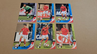 496. Kartice EURO 2008 PANINI - Austrija #1