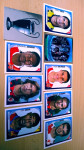 Champions League 2007/2008 Panini sličice, ugl.poznata imena