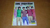 One Direction PRAZAN Panini album - 2013. godina