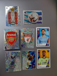 PANINI Premier League 2021 sličice