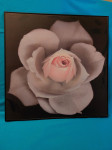 Slika RUŽA - Roza. 59 x 59 cm. Mob