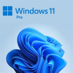 Windows 11 Pro aktivacijski ključ licenca platite nakon što aktivirate
