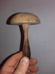 prodajem starinsku drvenu gljivu