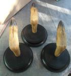 Tri stare lovačke vješalice - srneće nogice