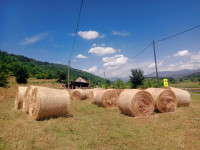 SIJENO U ROLO BALAMA PRODAJA ILI ZAMIJENA ZA RAZNO