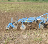 Lemken rubin