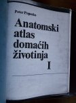 Petar Popesko Anatomski atlas domaćih životinja 1