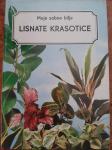 Lisnate krasotice - Moje sobno bilje