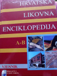 LIKOVNA ENCIKLOPEDIJA