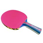 Vrhunski reket za stolni tenis andro G-300 P