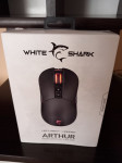 White shark arthur