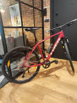 Trek Dual Sport 3 Gen 4 Rage Red