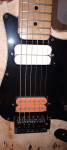 Evans pickup i dimarzio vintage