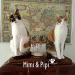 MIRINDA & PIPI